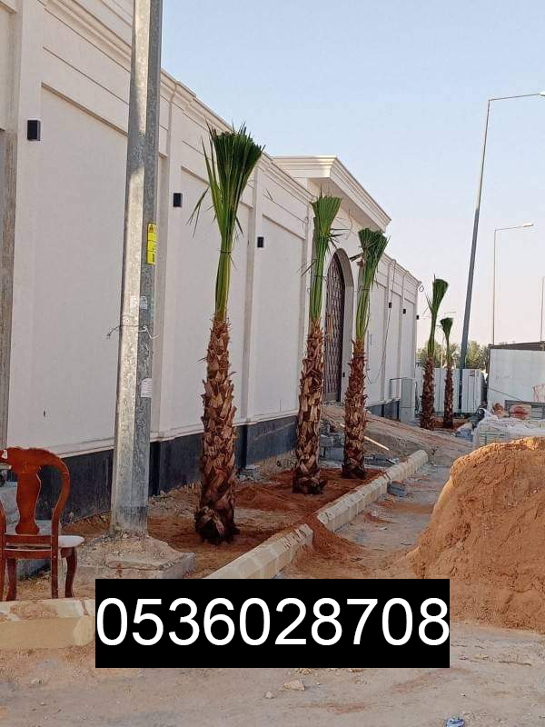 مقاول شبوك 0536028708